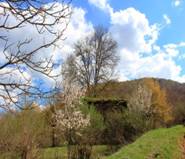 Description: _MG_0594