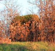 Description: _MG_0721